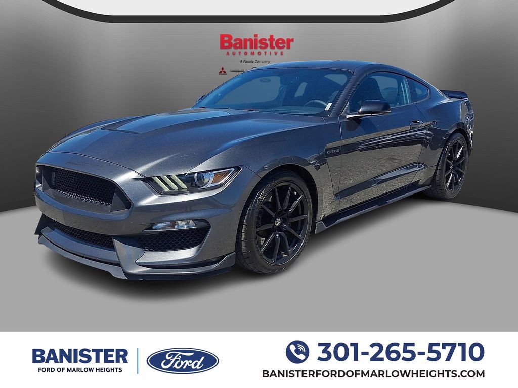 2017 Ford Mustang Shelby shelby