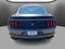 2017 Ford Mustang Shelby shelby