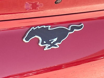 2024 Ford Mustang Mach-E Select