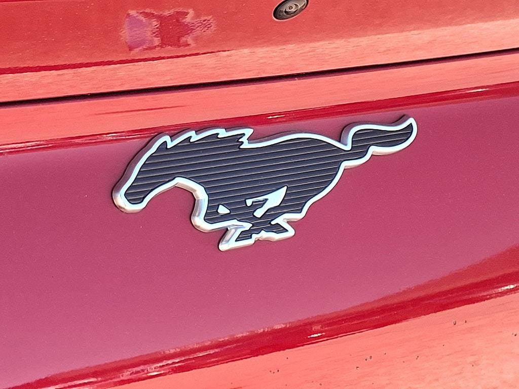 2024 Ford Mustang Mach-E Select