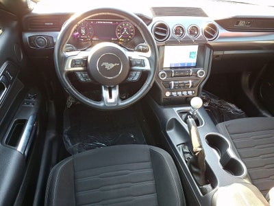 2021 Ford Mustang Mach 1