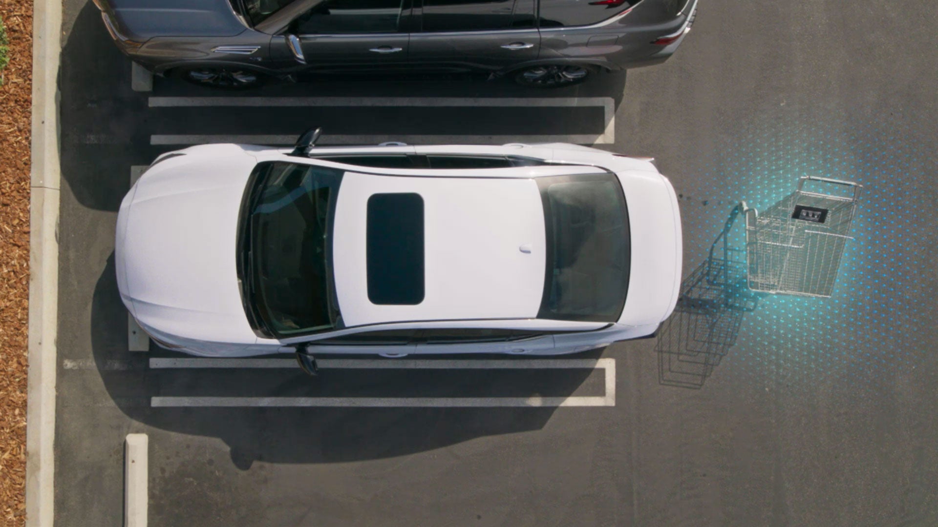 2026 Nissan Altima | Banister Nissan of Norfolk in Norfolk, VA